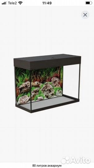 Аквариум