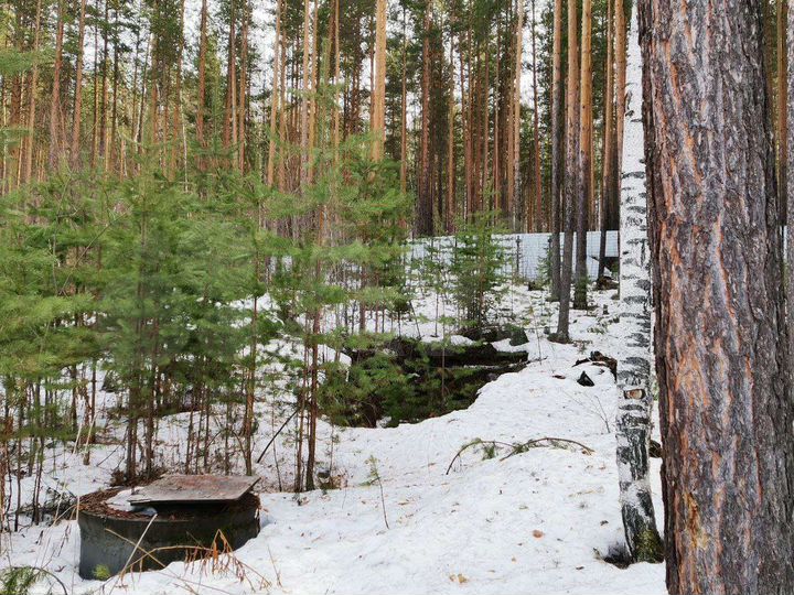 Участок 19,7 сот. (ИЖС)