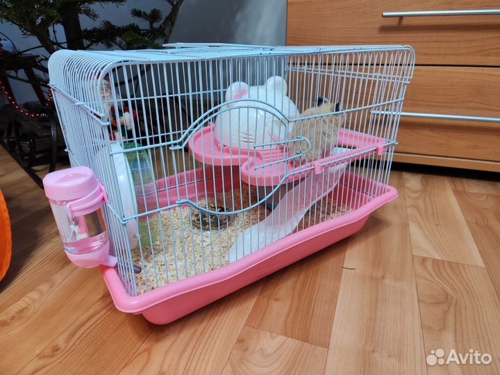 Клетка для грызунов