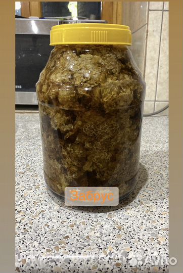 Мёд, забрус, соты, перга, подмор, прополис