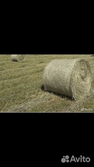 Сено в рулонах 2023