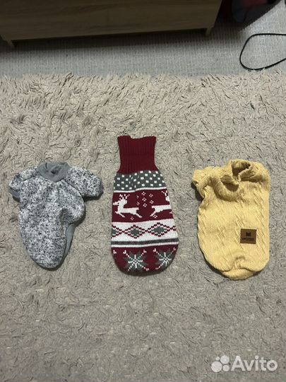 Вещи для кошек и собак