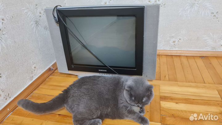 Slim fit tv samsung