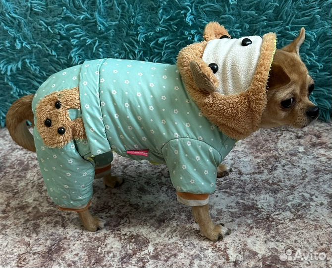 Комбинезон для маленькой собаки