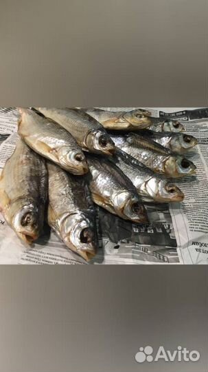 Астраханская вобла