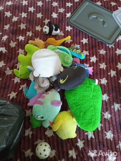 Вещи на маленькую собаку