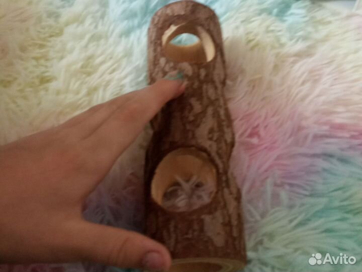 Дерева для хамяков