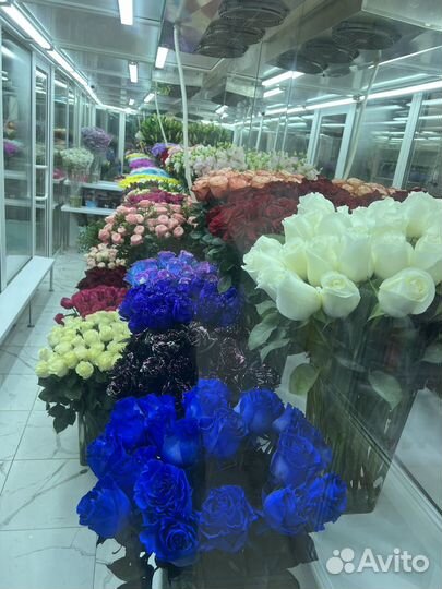 Розы 50 см Эквадор