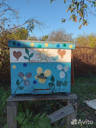 Ульи для пчел