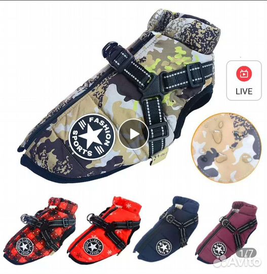 Дождевики, куртки, комбинезоны для собак