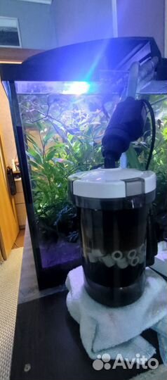 Аквариум