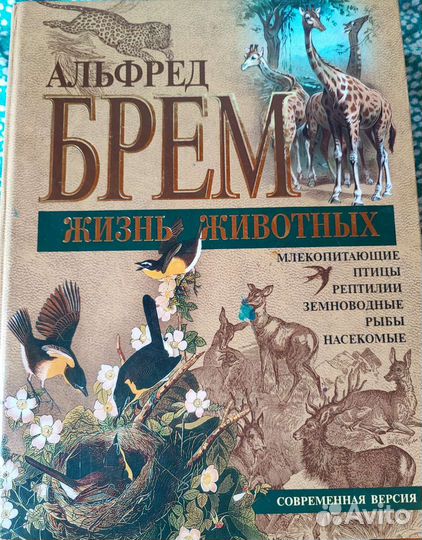Альфред Брем жизнь животных