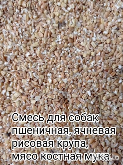 Зерно, зерно смеси, кормовые крупы, комбикорма