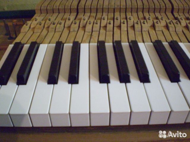 Белые накладки на клавиши пианино (Россия)