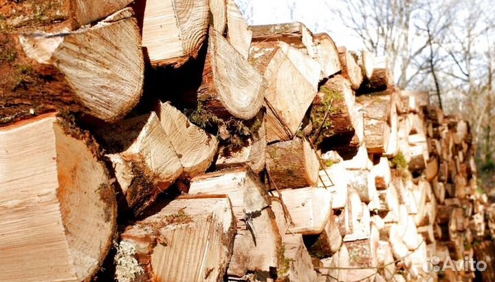 Дрова чистые