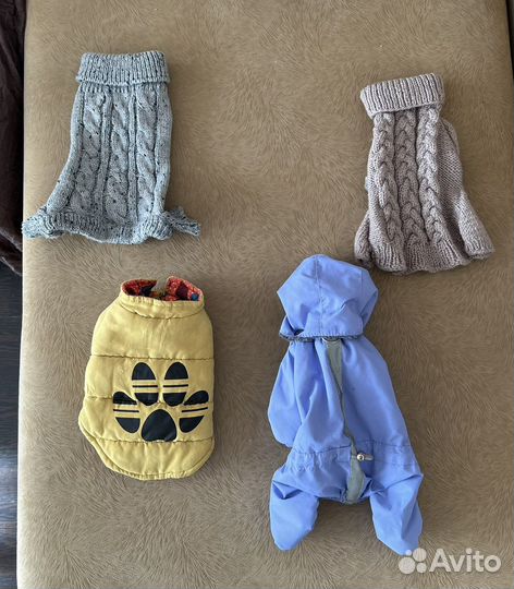 Одежда для маленьких собак