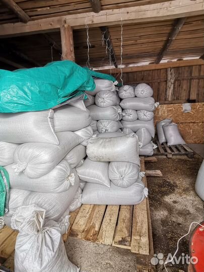 Продам зерно овёс и ячмень