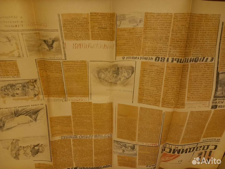 Поход Челюскина, 2 Тома 1935 год