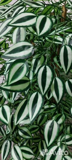 Искусственное дерево