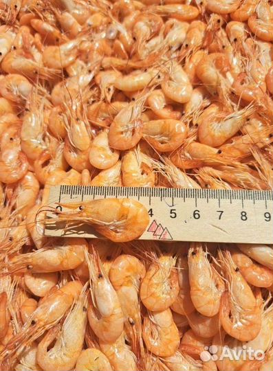 Креветка азовская свежемороженная