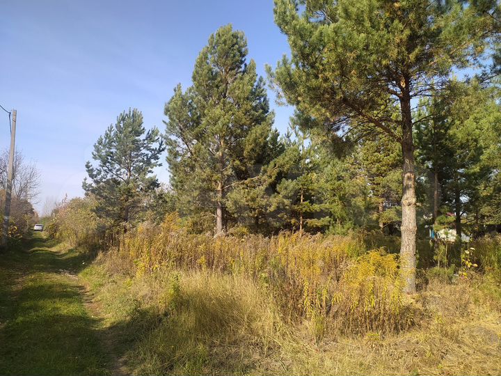 Участок 9,4 сот. (СНТ, ДНП)