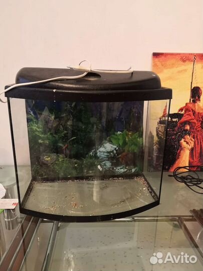 Аквариум