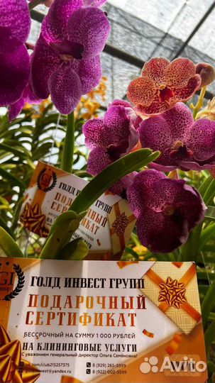 Клининг, уборка квартир