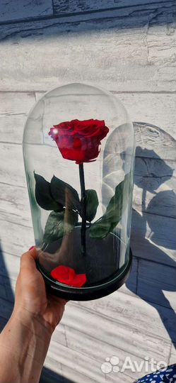 Роза в колбе