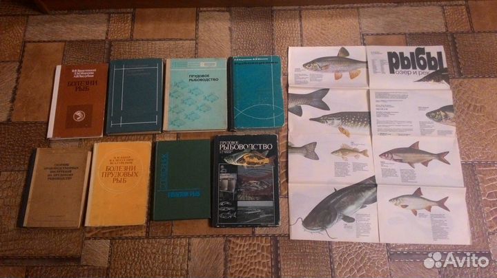 Рыбоводство. Болезни рыб. Аквариумные рыбы