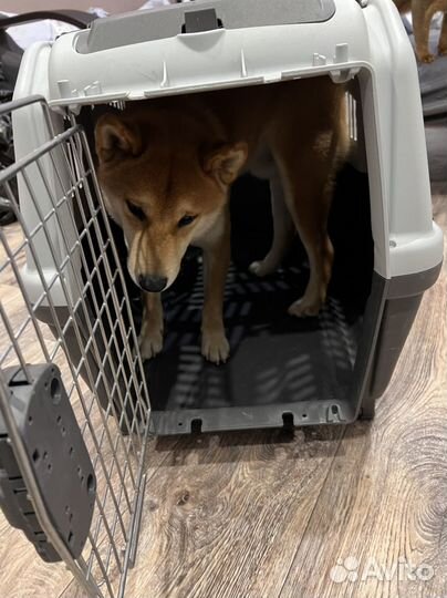 Переноска для собак