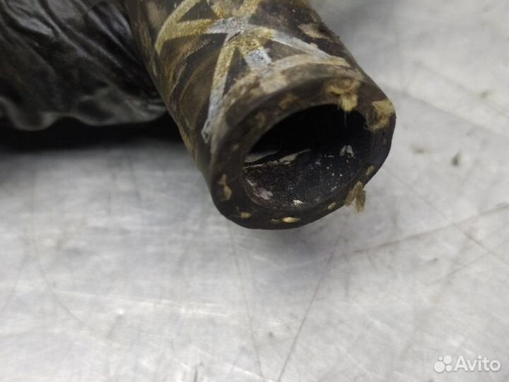 Шланг системы охлаждения Volkswagen Passat B6