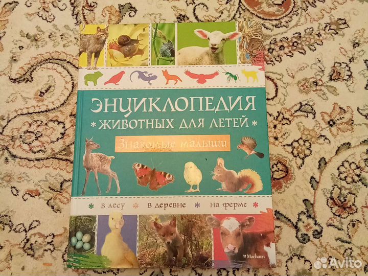 Детская энциклопедия