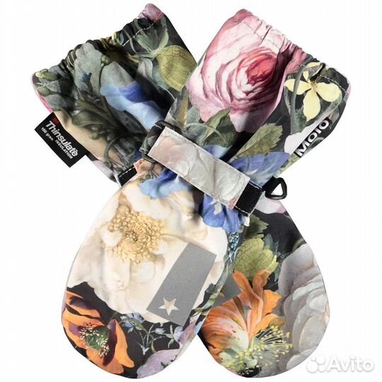 Molo igor still life 3-5