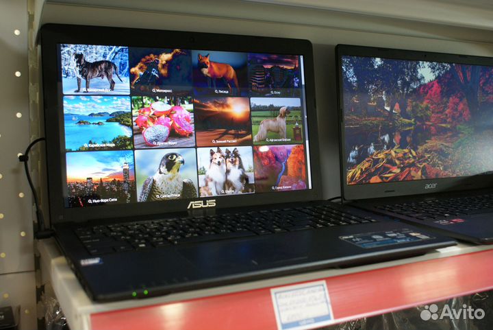 Asus X552E AMD Dual Core E1-2100 3Гб 500Гб HD8210