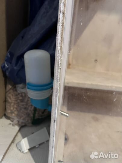 Витрина для шиншилл, дегу