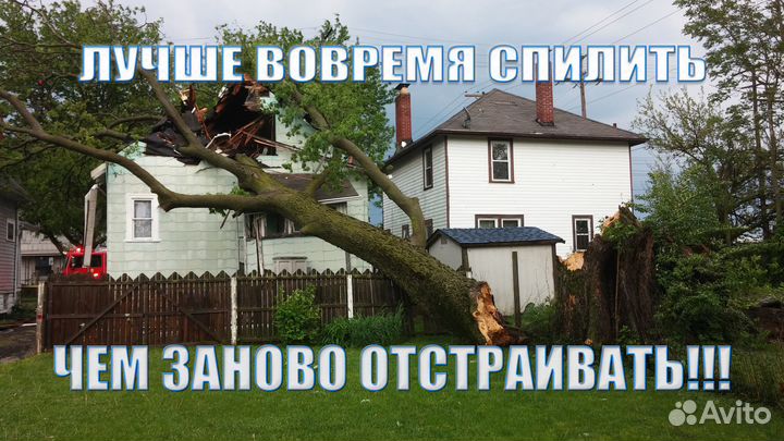 Спил и обрезка деревьев. Валка леса. Расчистка