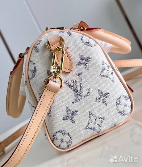 Сумка Louis Vuitton Speedy