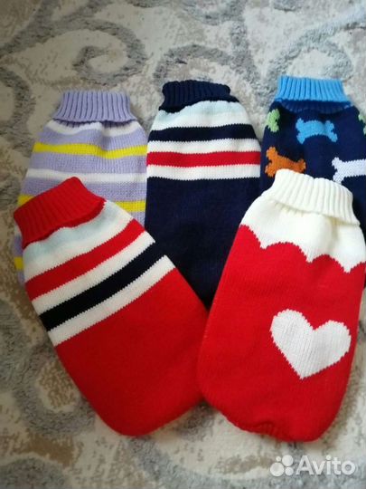 Одежда для собачек