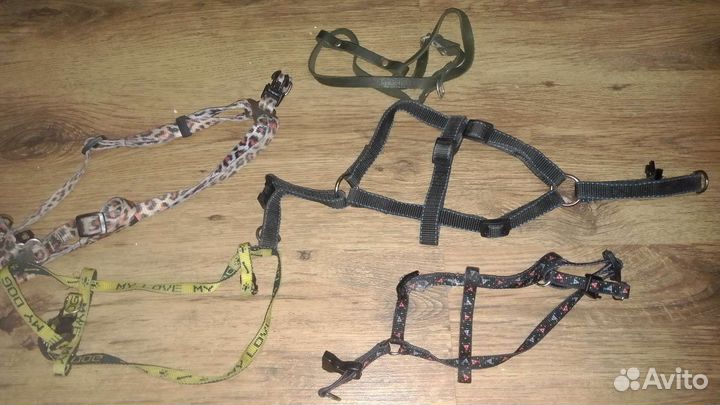 Шлейка для маленькой собаки