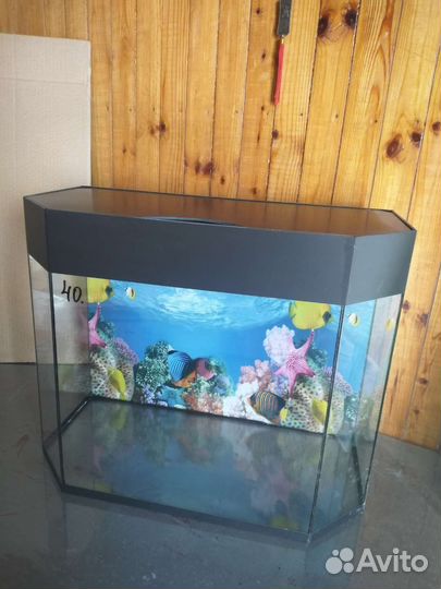 Аквариум