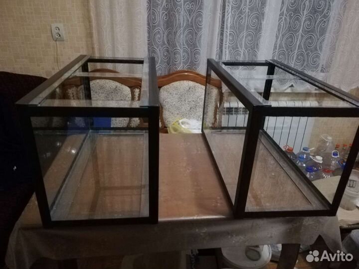 Аквариумные рыбки