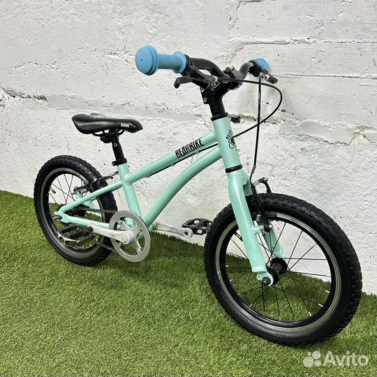 Bear bike kitiez 16