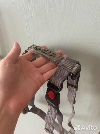 Ошейники и поводки для собак