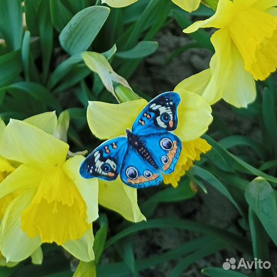 Броши с бабочками