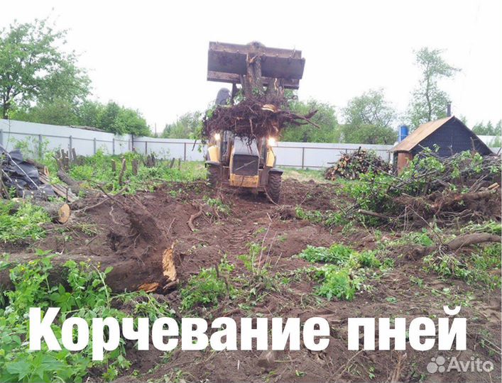 Расчистка участков.спил деревьев,кустарников