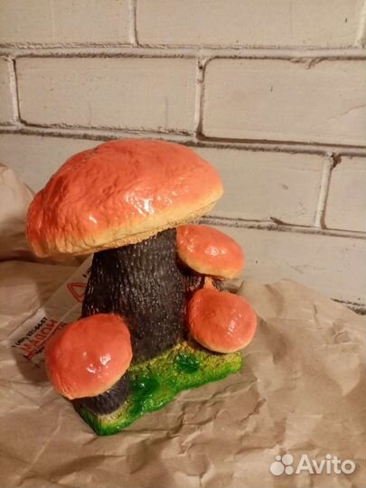 Гриб гипсовый