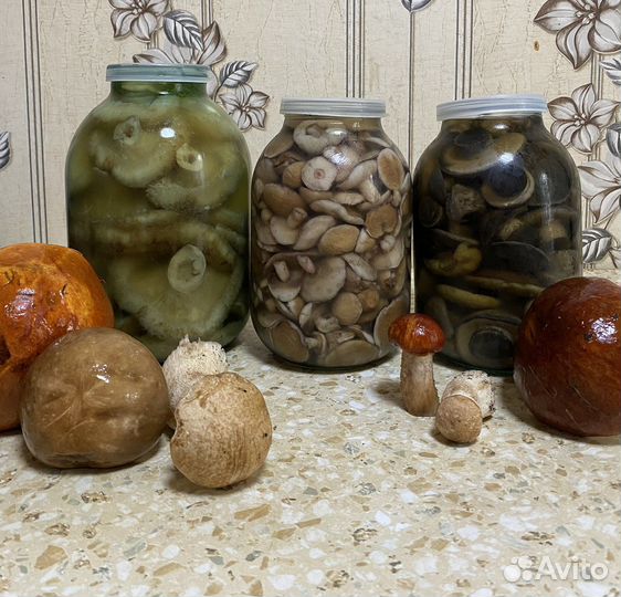 Грибы маринованные