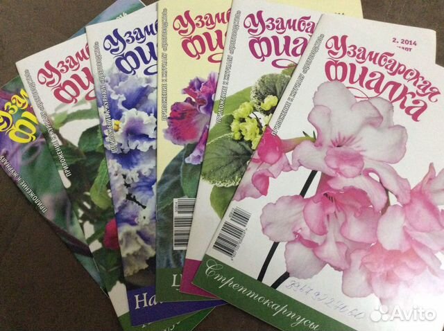 Журналы Узамбарская фиалка