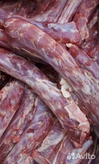 Мясо для собак Белгород