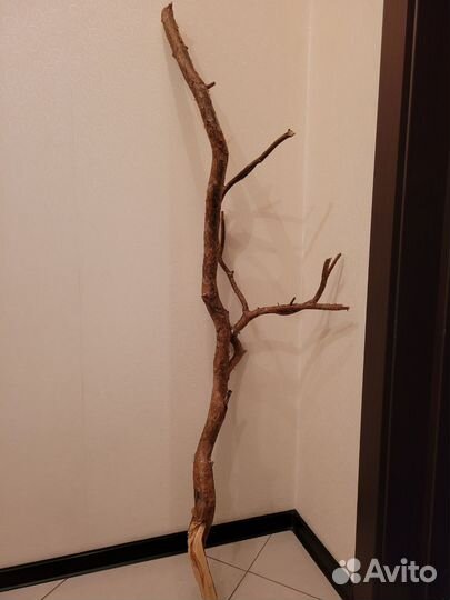 Коряги для интерьера и декора из натуральной сосны